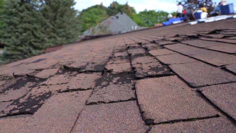 Best Commercial Roofing Services  in Middlesex, NJ