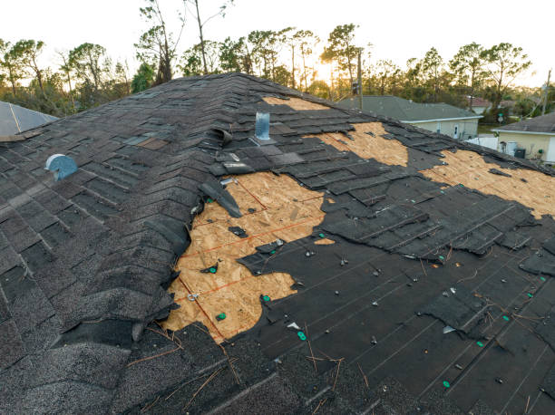 Best Storm Damage Roof Repair  in Middlesex, NJ