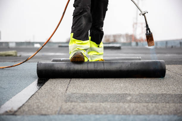 Best Asphalt Shingle Roofing  in Middlesex, NJ